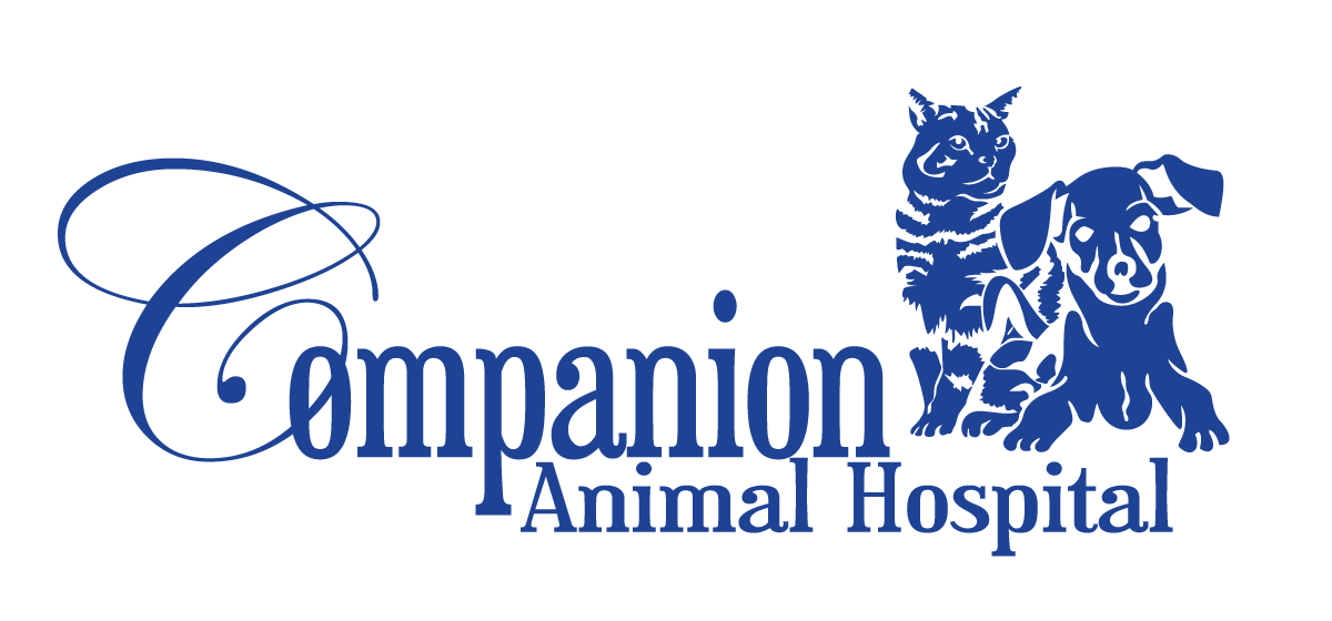 Companion-AH-Logo_blue-lines