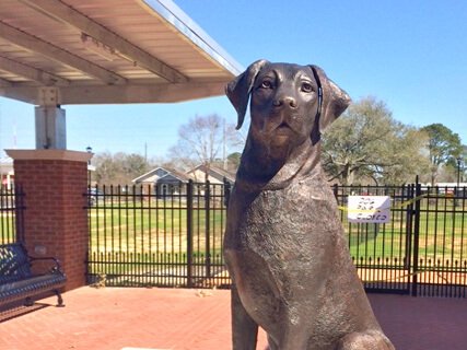 DogPark