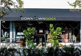 Downtown_Dogs