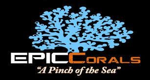 EPIC_CORALS