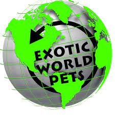 Exotic_World_Pets