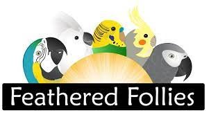 Feathered_Follies