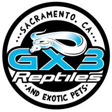 Gx3_Reptiles_and_Exotic_Pets