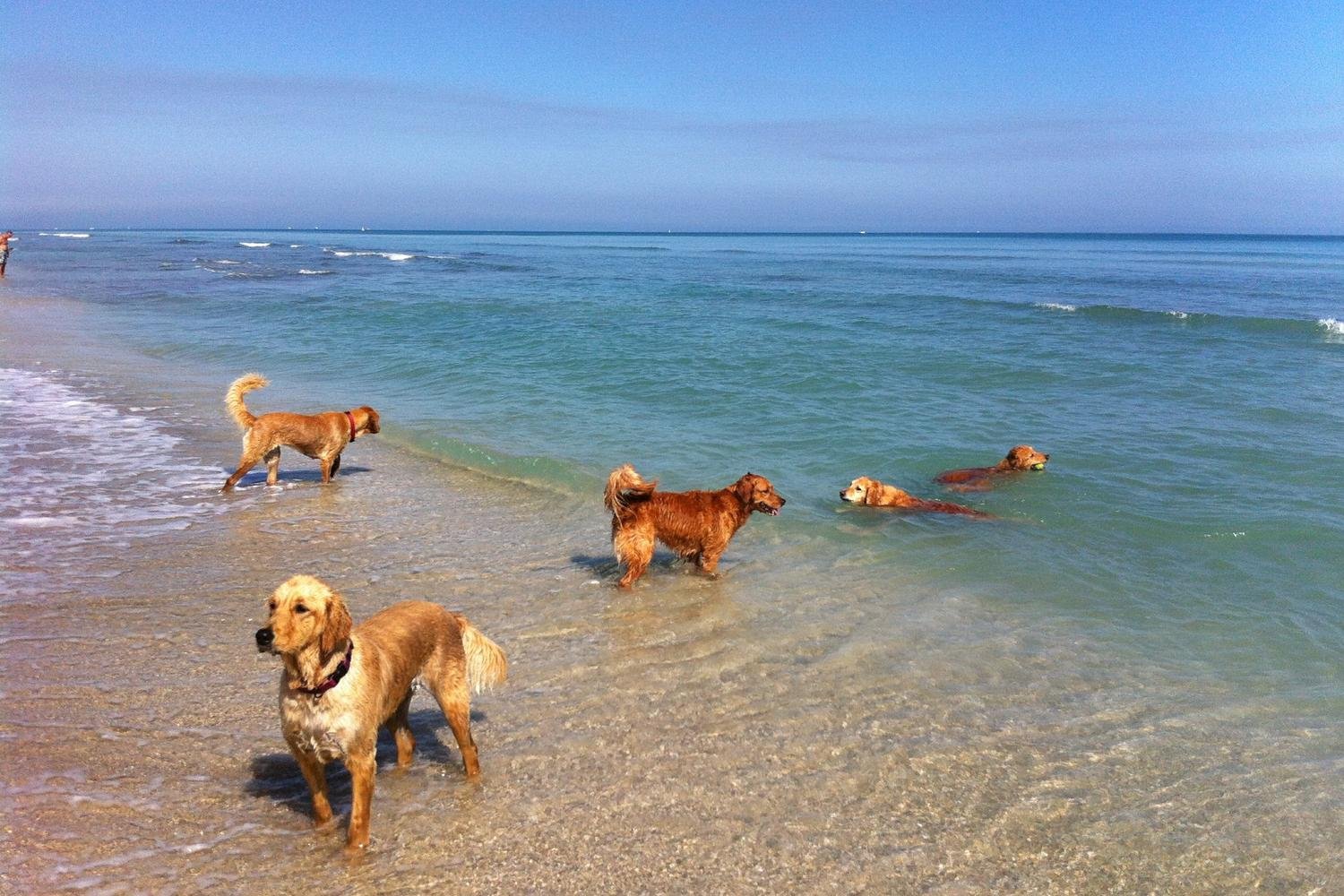 IMG_1994_2014-01-28_171324