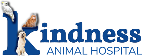 Kindness-Animal-Hospital_454