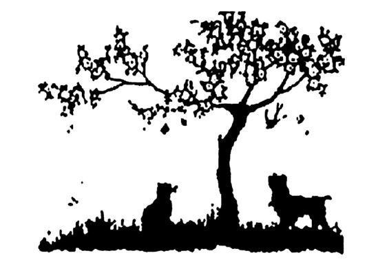 LTBNCcoxQ5G0XXaSqVDA_Ash_Creek_Logo