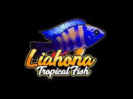 Liahona_Tropical_Fish