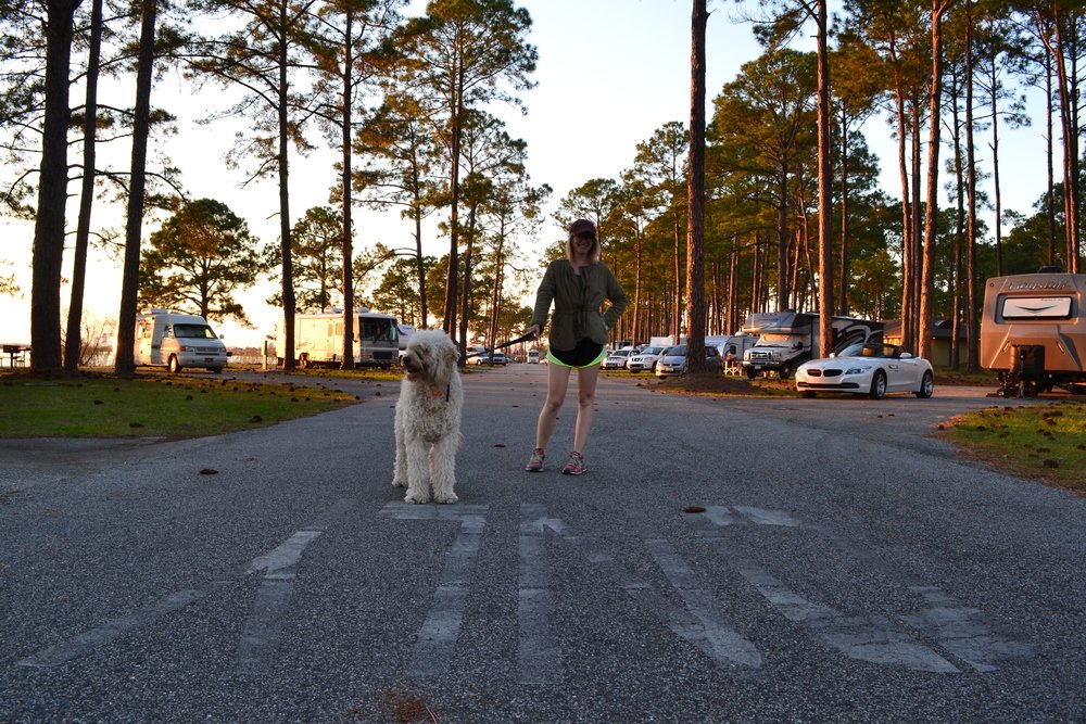 Meaher+State+Park+Review+_+Local+Color+XC