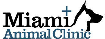 Miami-Animal-Clinicsadasdas