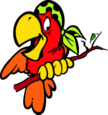 Parrots_N_Stuff