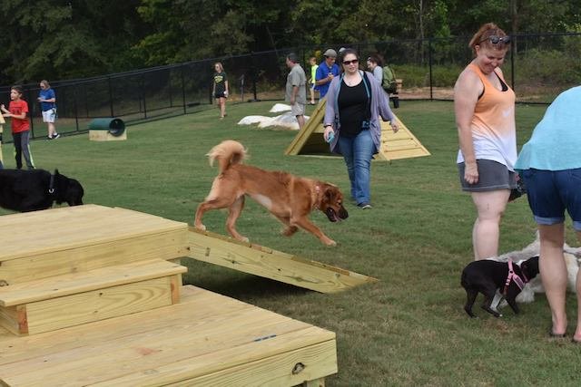 Pelham-Dog-Park