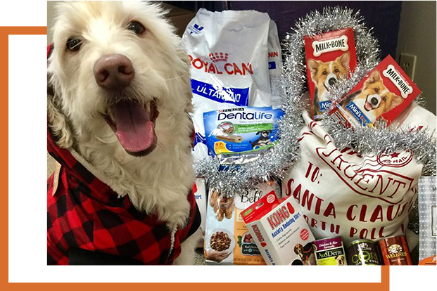 Pet-Food