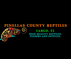 Pinellas_County_Reptiles