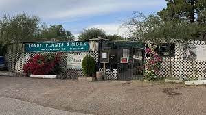 Ponds,_Plants_and_More
