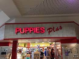 Puppies_Plus