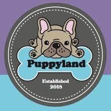 Puppyland_Marietta