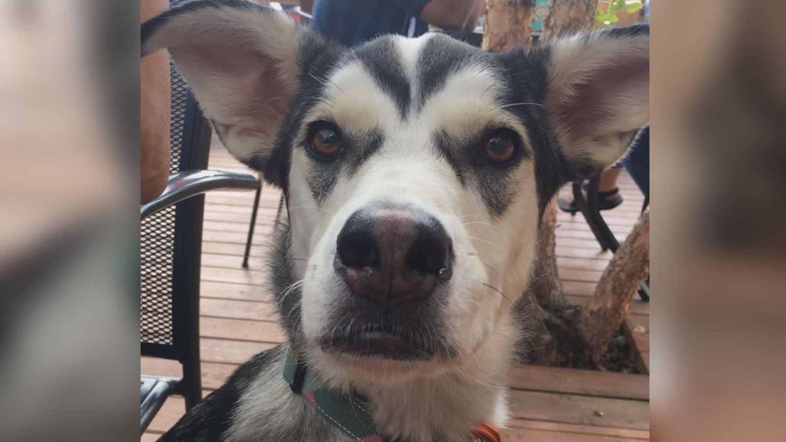 QLY5ATQMKFNQJDQ7Y6XPKOIQNY