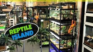 Reptile_Island