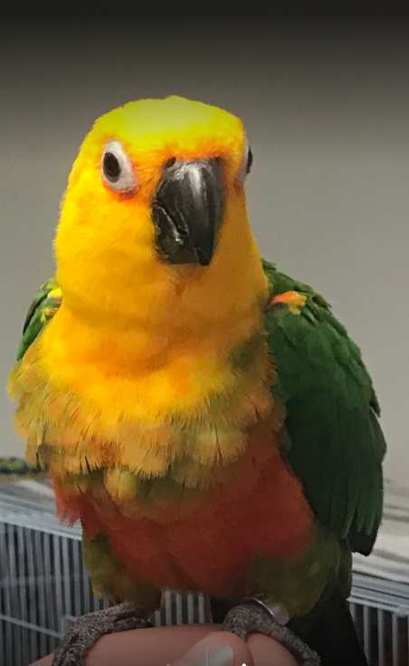 ScreenHunter_1216_(02)