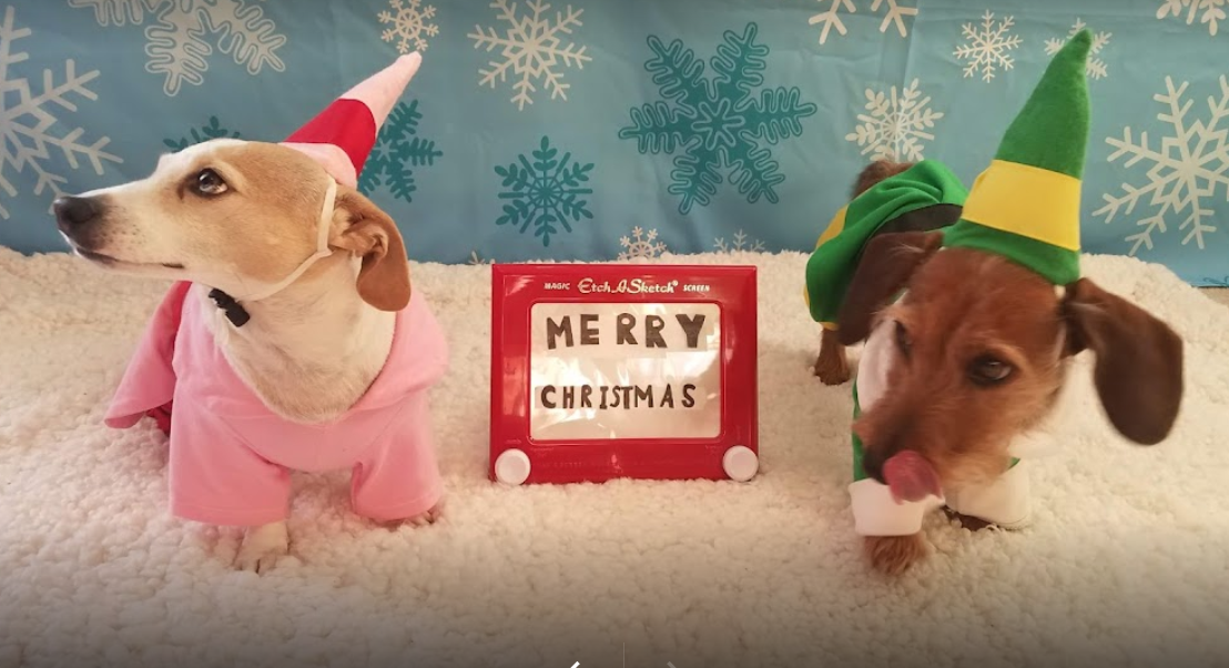 ScreenHunter_1289_(01)