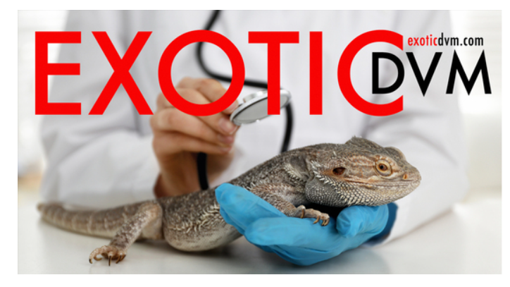 ScreenHunter_2002_(01)