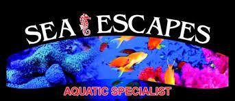 Sea_Escapes_Inc