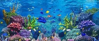 Sea_Splendor_Aquarium