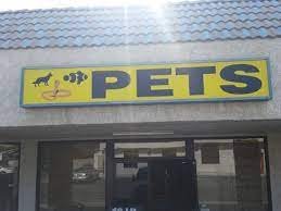 Tails2Scales_Pet_Shop