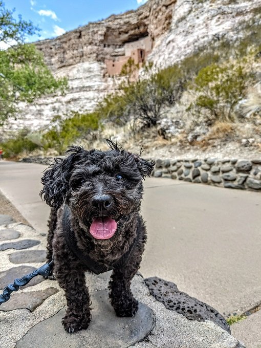 Truffles-at-Montezuma-Castle-National-Monument
