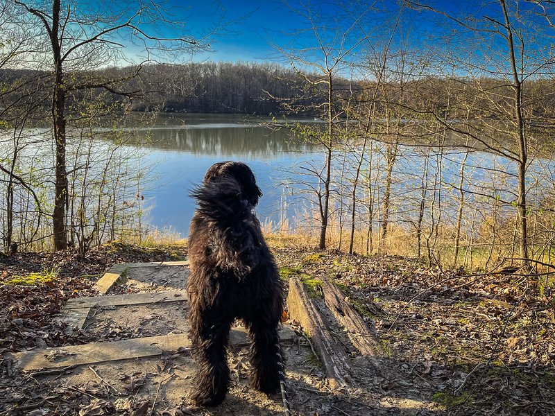 Village_State_Park-27-L