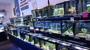 Western_Slope_Aquatics