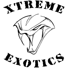 Xtreme_Exotics