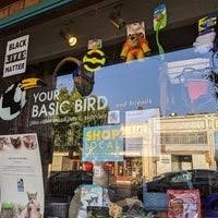 Your_Basic_Bird