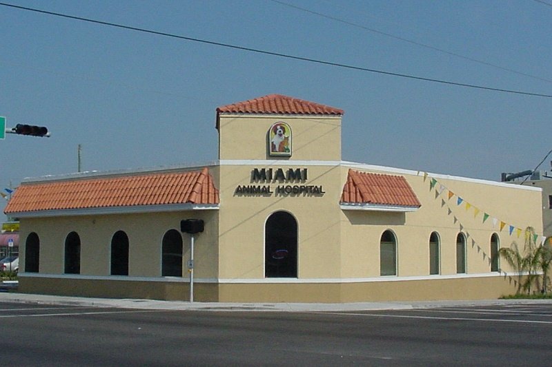 a312sdfdfhvg24213213123dsasd