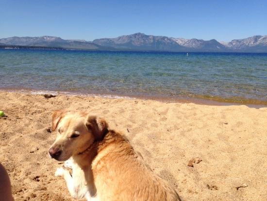 andy-enjoying-the-beach