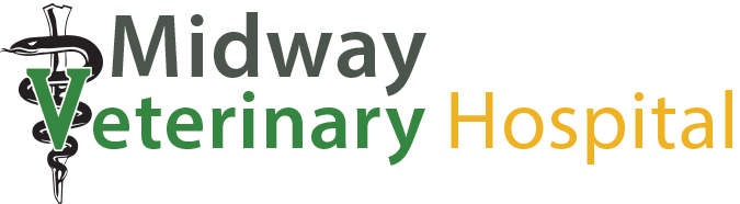 asdasd21312321423dsdad213