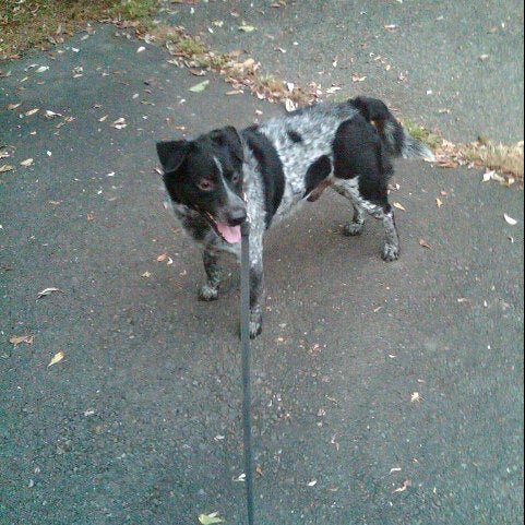 Delong Park
