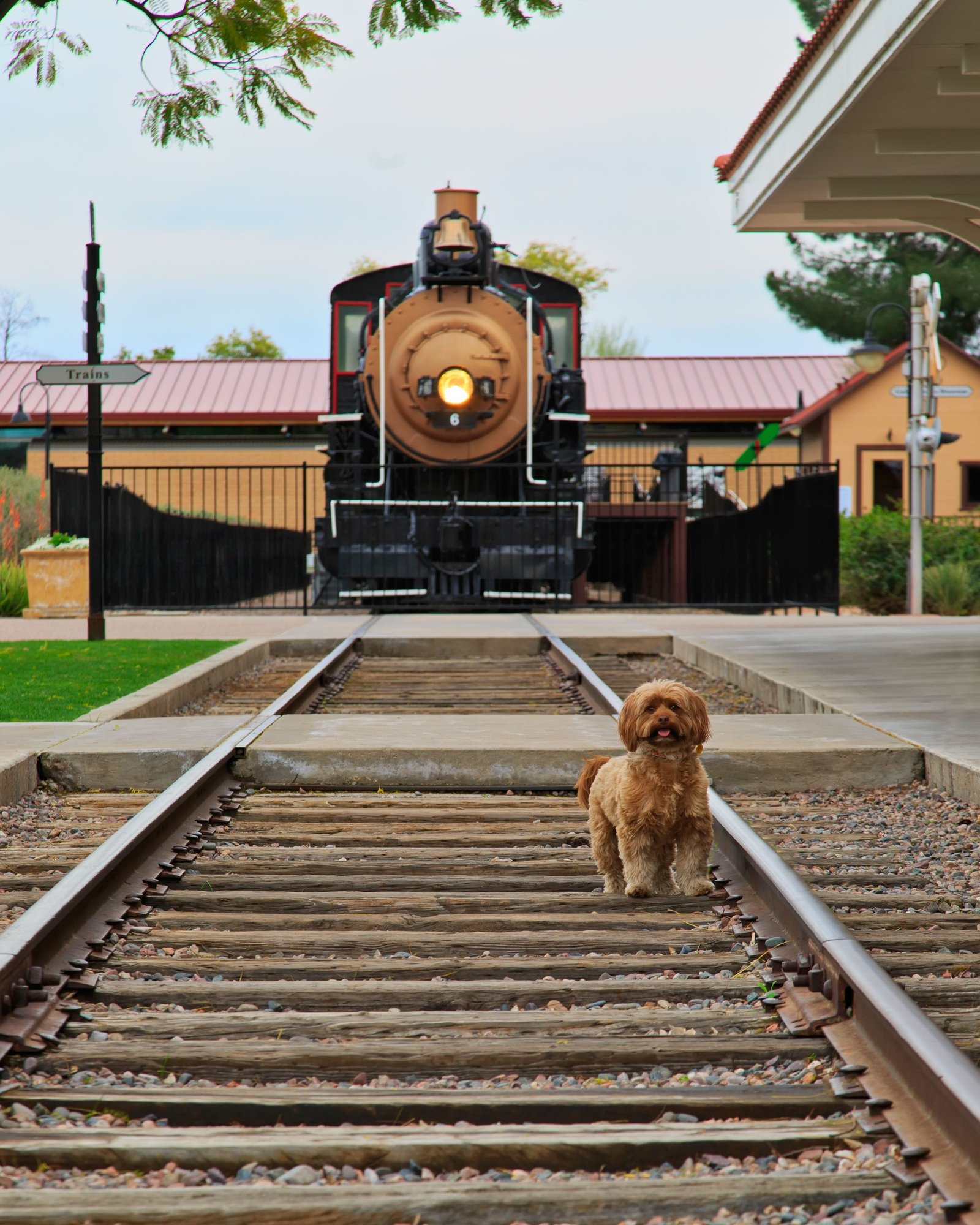 b188759c2070ea3bbefd4add38f4df83