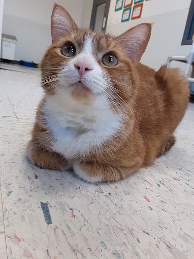 bb89