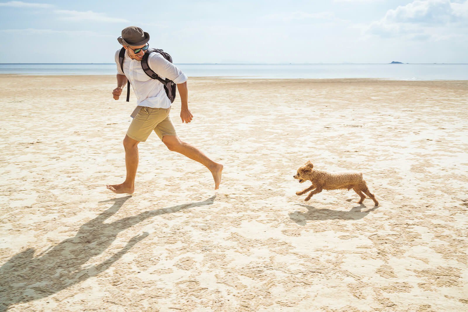 beach1-041349c09109d71c687bb59220757569