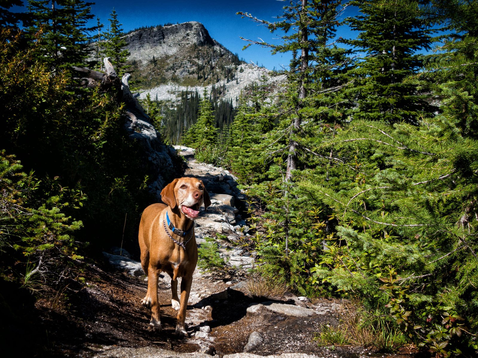 campground8-7c7c3854d277c340ad884d304adc475f