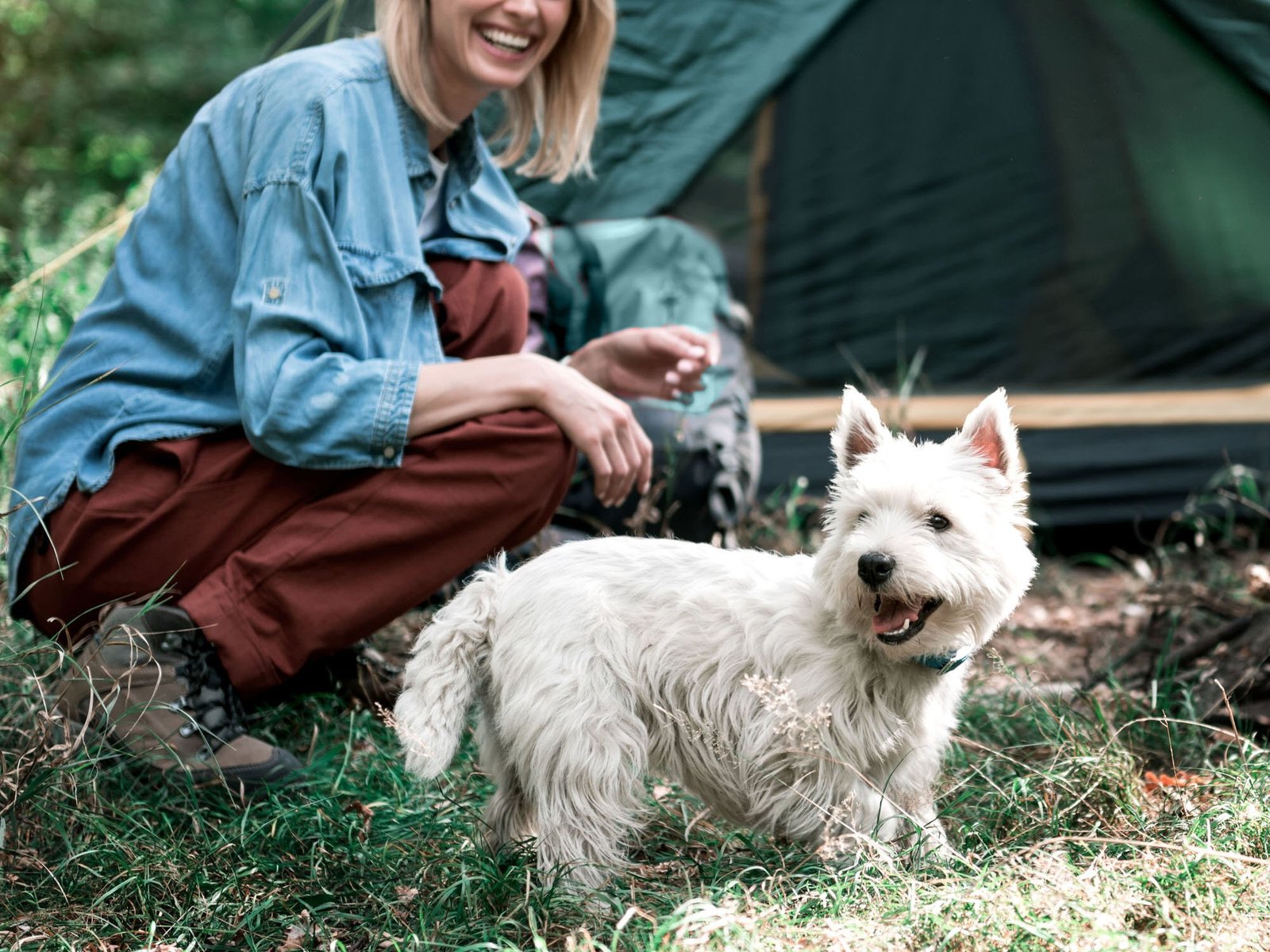 campground9-0e65537f93f95d7a0c00a1f4a0518aaf