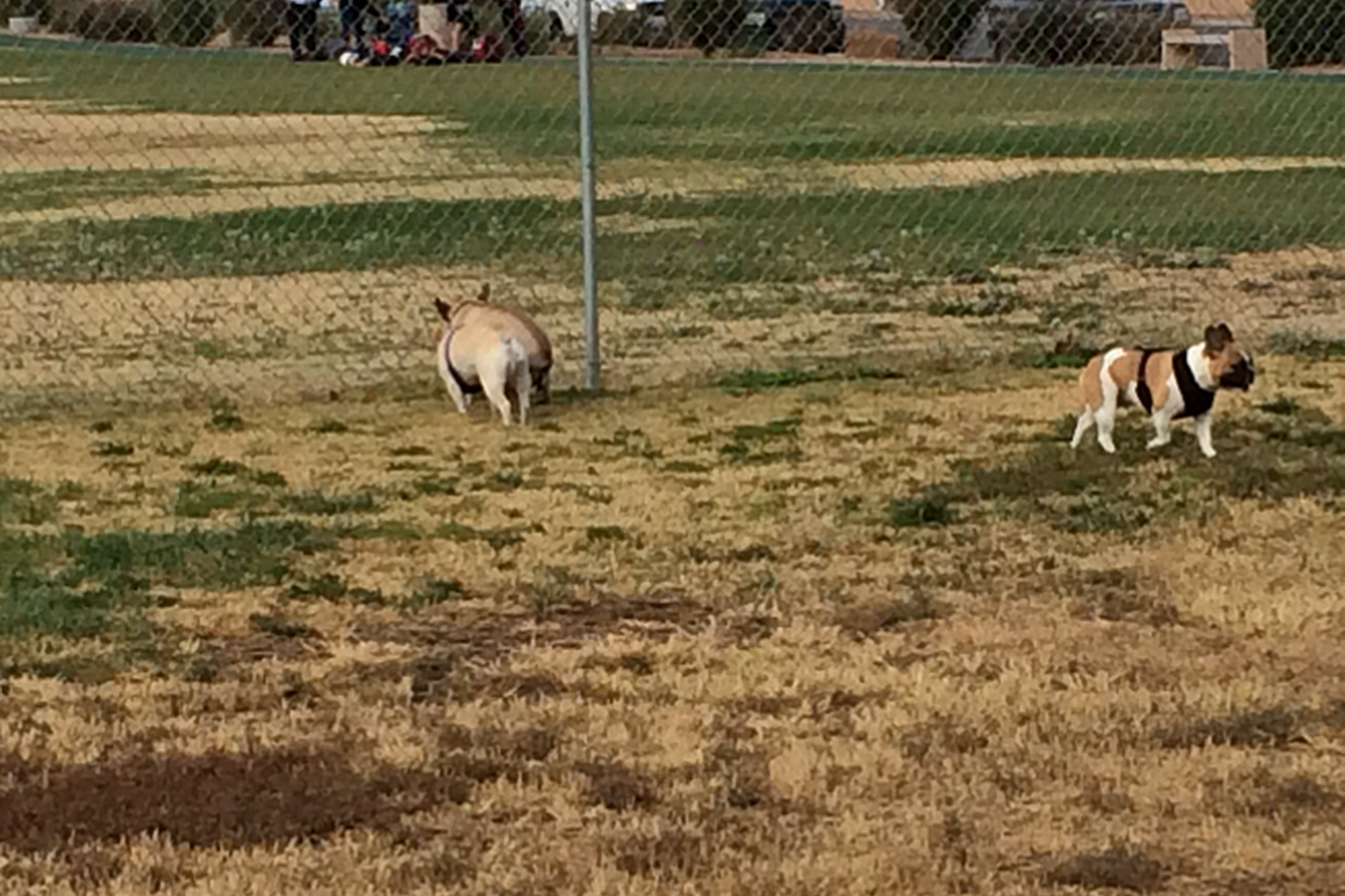 childrens_memorial_2