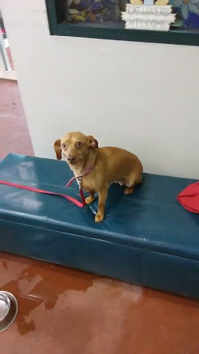 dd30