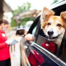 Wayside Animal Hospital