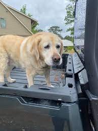 Lake Martin Animal Sanctuary