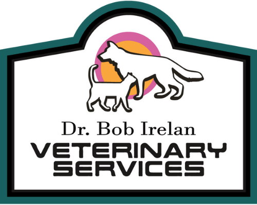 dr-bob-new-logo2454413sdaa
