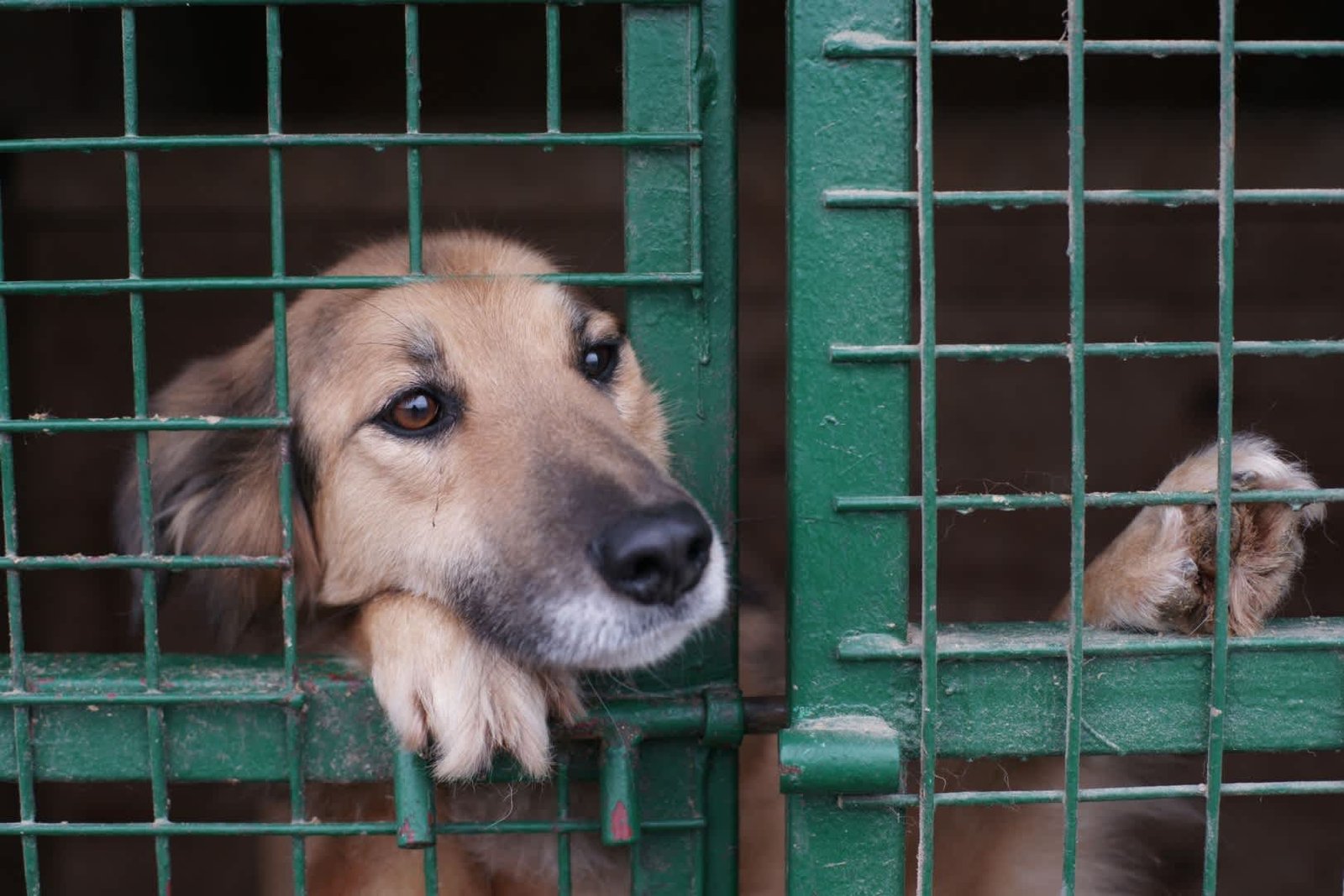 ed92