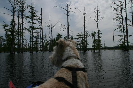 filename-img-0817-jpg