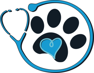 ghjbvh5yy54ttg34345345342342123